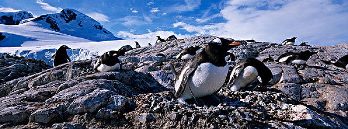 《燕云十六声》伞武器情报：出招变化莫测 势入千钧