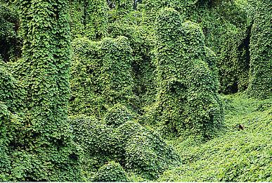  《超级机器人大战Y》新预告公布 展示多台新机体与系统